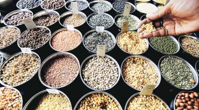 Retail cereal price inflation, buffer stock pulses, India pulses buffer stock, Govt cereal stocks, high inflation cereal stocks, Cereal production, Cereal production india, buffer stock for pulses