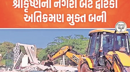 A screengrab from the video.