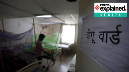 Dengue ward sign in a ward with mosquito nets.