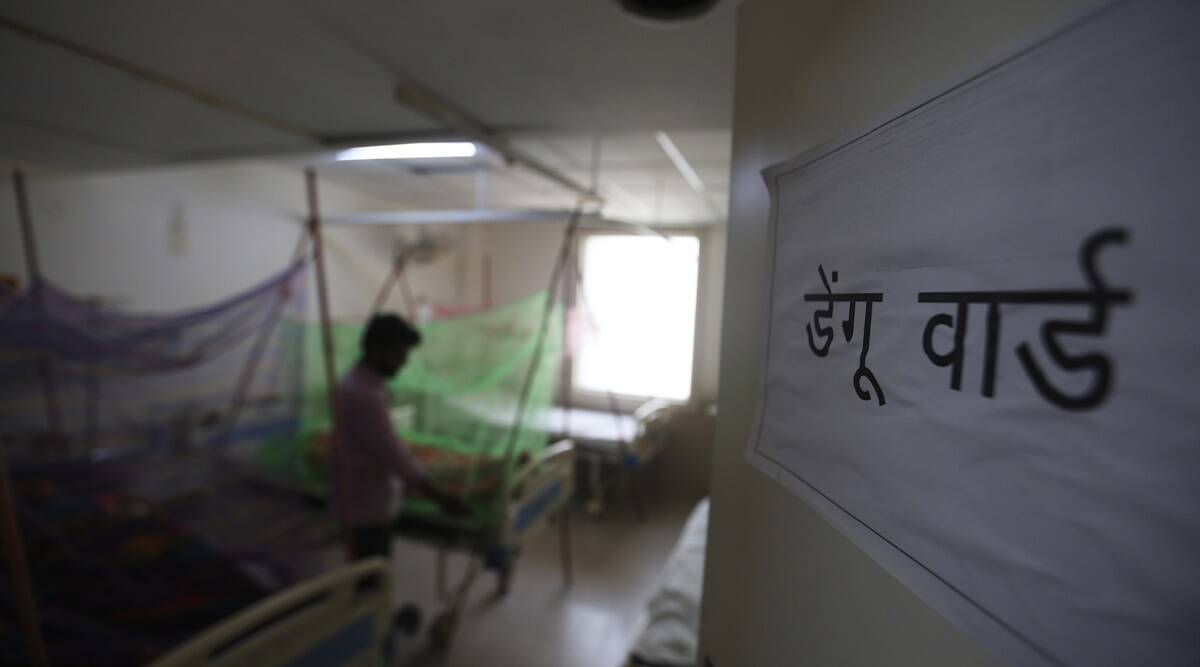 dengue, health department news, chandigarh news, Indian Express