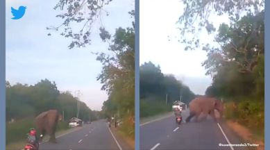 Susanta Nanda, Accident between scooter and elephant averted, major accident between scooter and elephant prevented, viral elephant video, indian express