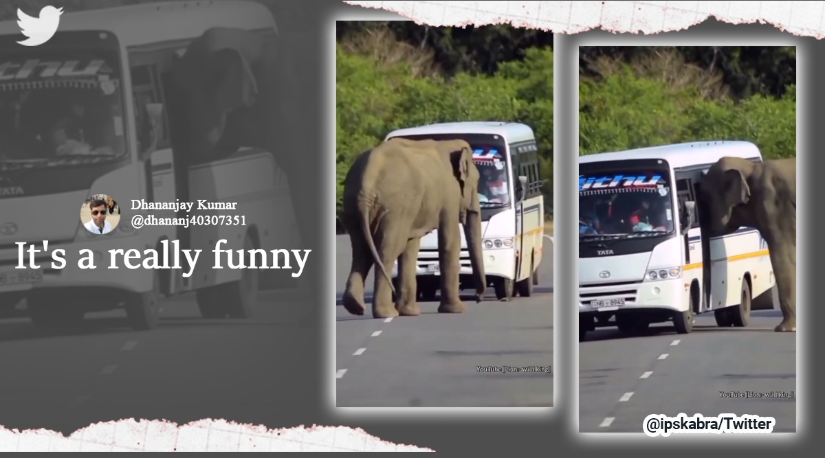 Watch Elephant tries to enter a moving bus. Here’s what happened next