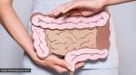digestion