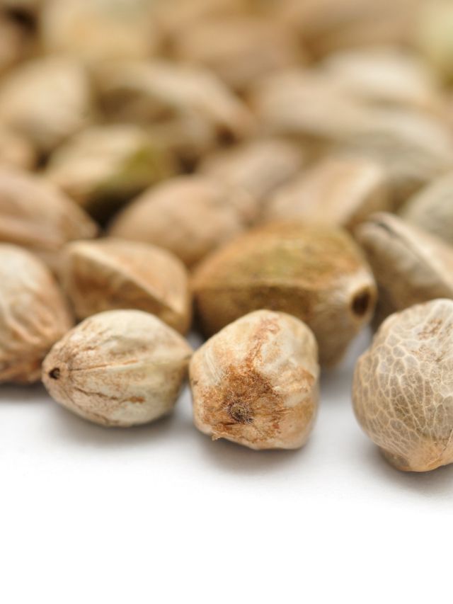 Can hemp seeds reverse diabetes? The Indian Express