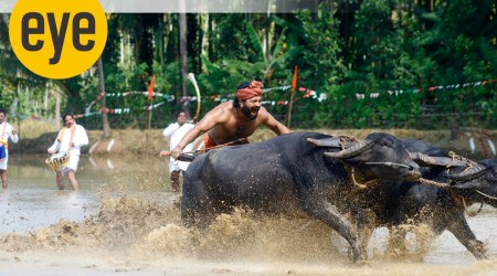 Rishab Shetty in a still from Kantara.