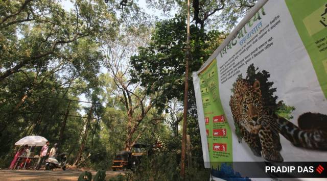 After the incident, forest officials have been asking local tribals and cattle farm owners to clear vegetation, including bushes and shrubs that have grown adjoining the periphery of their properties.