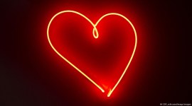 love, what is love, exhibition on love, exhibition 'Love. What moves us', exhibition in Haus der Geschichte Germany, indian express news