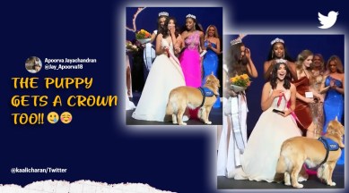 Alison Appleby crowned Miss Dallas Teen 2022, Miss Dallas Teen 2022, teen wins beauty pageant with her service dog, epileptic teen wins Miss Dallas Teen 2022, epilepsy attack alert dog, service dogs viral video, indian express