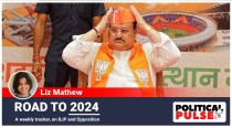 BJP may expand its team to spur 2024 poll preparations