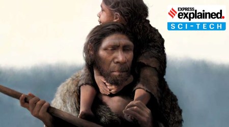 Neandertal family, Neandertal family in russian caves, svante paabo, express explained, indian express