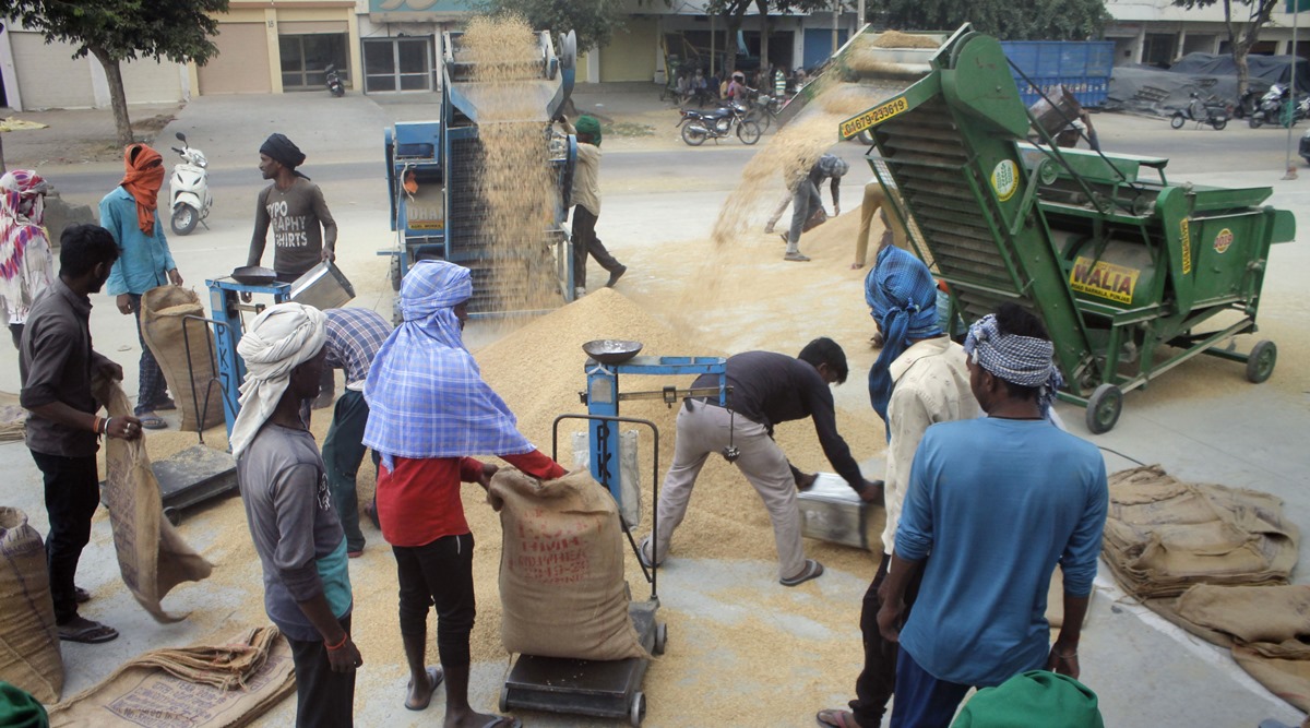 Arrival picks pace, Punjab procures one million tonne paddy in 10 days ...