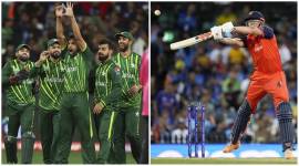 Pakistan vs Netherlands, T20