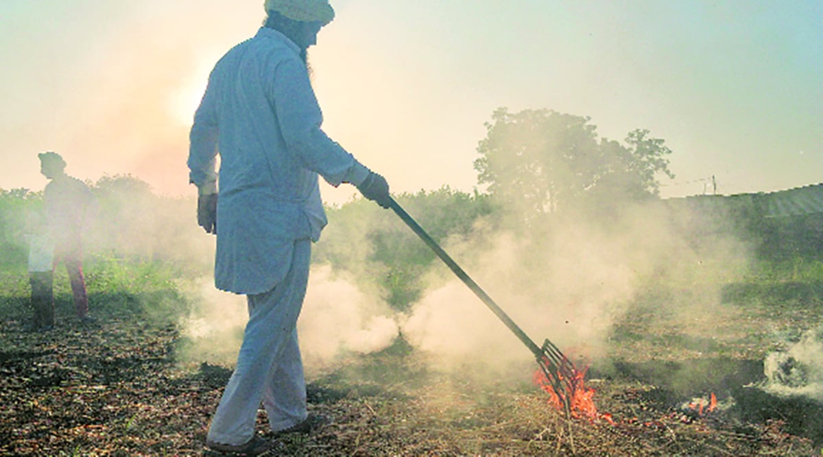 Punjab crosses last year’s stubble-burning incidents to date