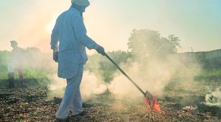 From September 15 to October 26 this year, Punjab recorded 7,036 stubble burning cases. (Express Photo)