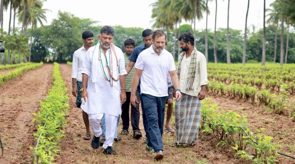 bharat jodo yatra, rahul gandhi, 2024 Lok Sabha elections, cong bharat jodo yatra, BJP Jana Sankalpa Yatra, Karnataka BJP, Congress bharat jodo yatra, Karnataka congress, indian express, political pulse