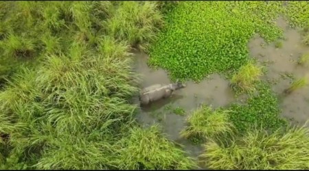 A screengrab of the drone video (Twitter)