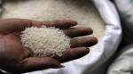 rice exports in India, wheat export ban, wheat exports ban, world rice market, Indian express, Opinion, Editorial, Current Affairs