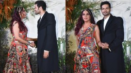 richa chadha, ali fazal wedding