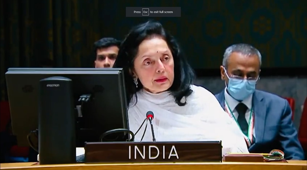 India's Permanent Representative to the United Nations Ruchira Kamboj speaks at a UN meeting. (File)