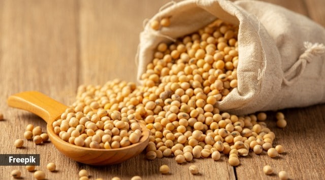 Soy protein isolates have more anti-nutrients than nutrients. (Source: Freepik)
