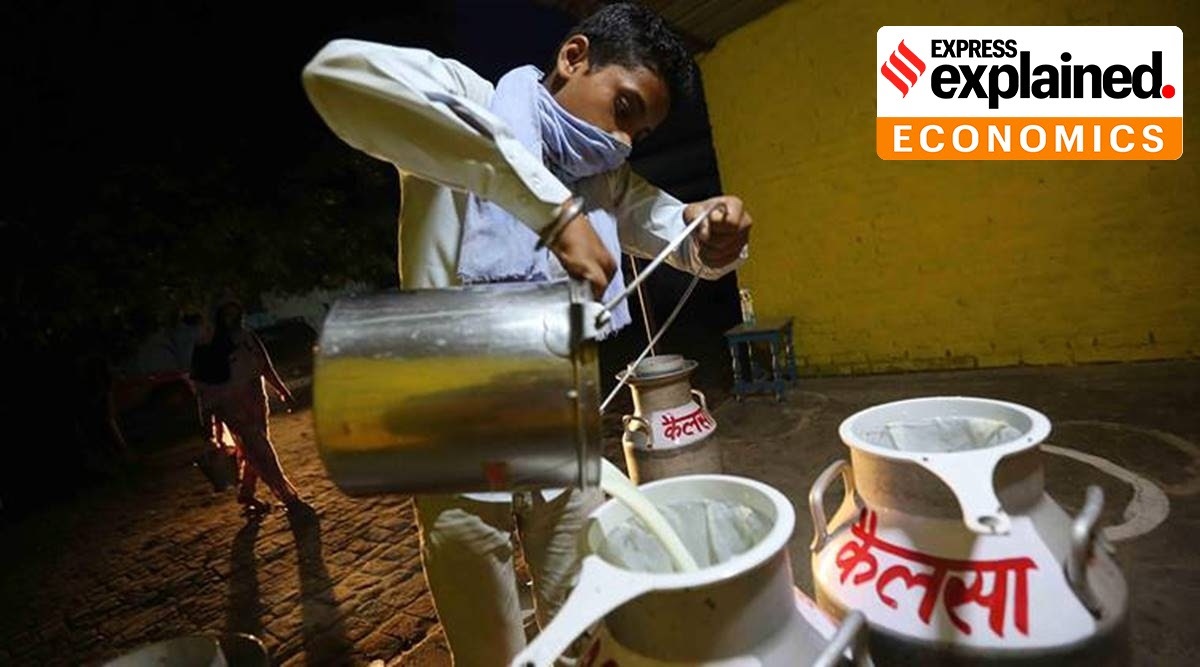 Even after factoring in indirect/non-household consumption and population increase since 2011-12, the per capita average for these high milk-drinking states is unlikely to exceed 0.5-0.6 litres. (File)