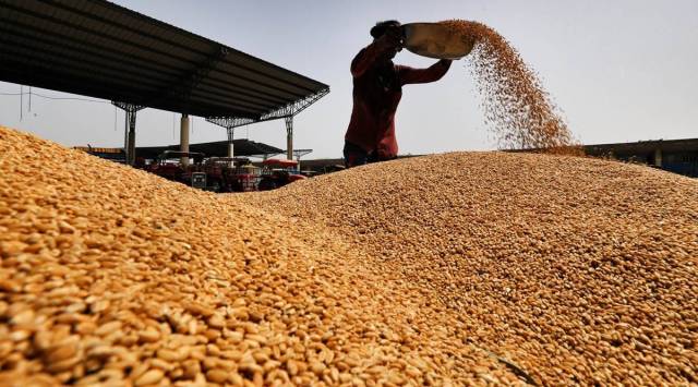 The depleting stocks come even as the consumer price index (CPI) for “cereals and products” rose 11.53 per cent year-on-year in September. (Express/File)