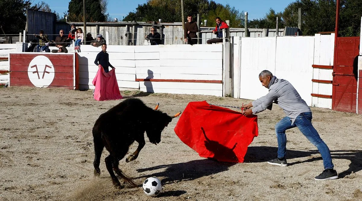 Art or torture? France debates banning bullfighting Life-style News