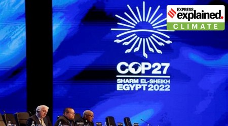 Participants attend the COP27 climate summit in Egypt's Red Sea resort of Sharm el-Sheikh, Egypt November 8, 2022. (REUTERS/Mohammed Salem)