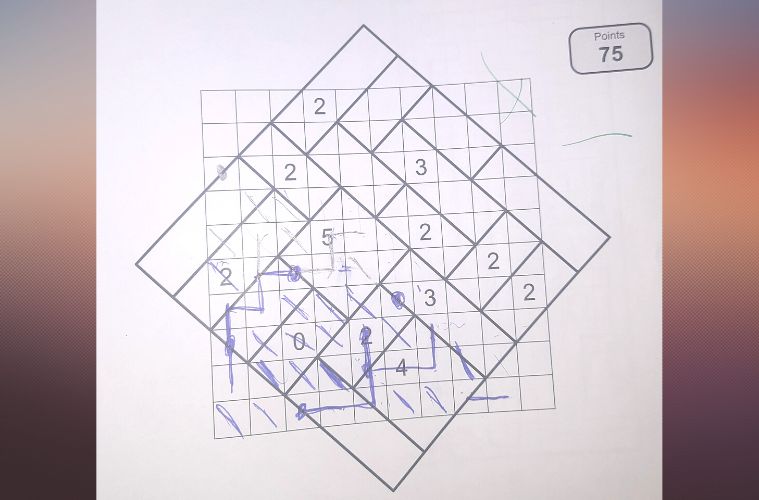 Killer Sudoku by Prasanna Seshadri - The Art of Puzzles