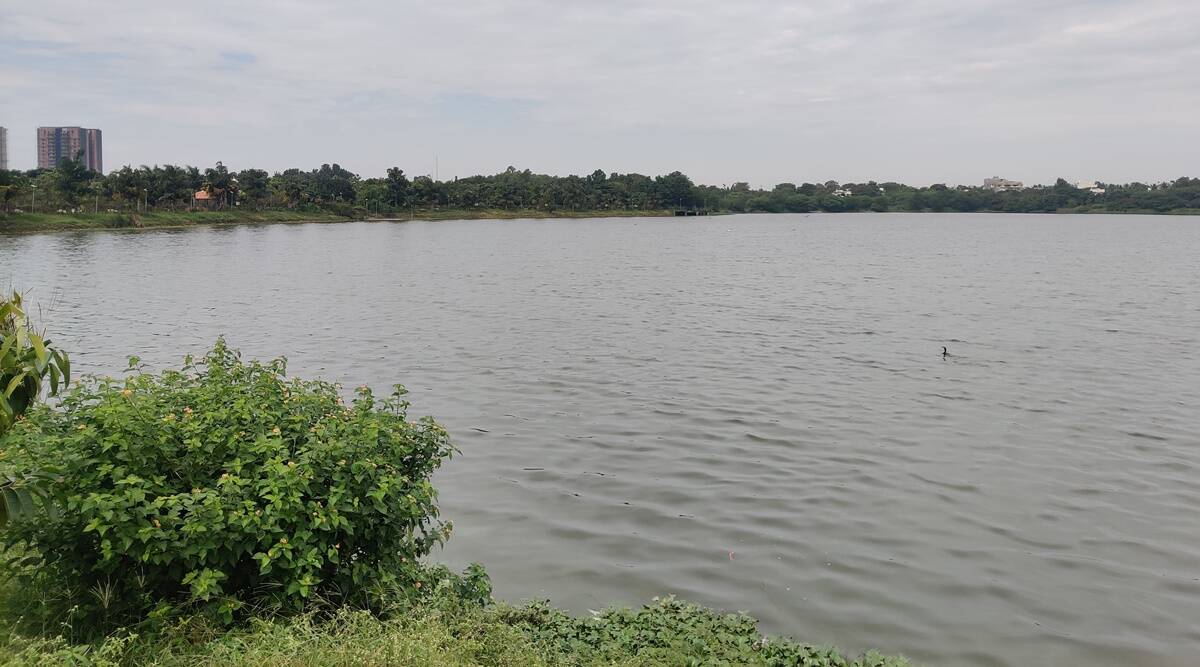 Detailed Project Report for restoring 150 Bengaluru lakes to be ...