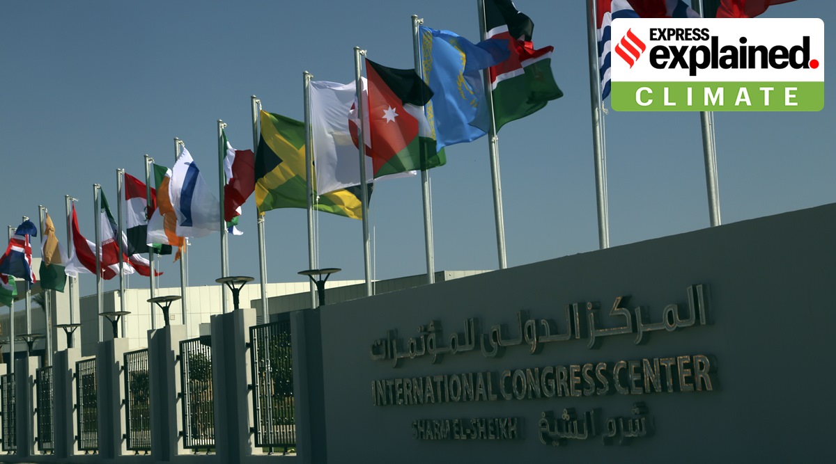 Flags from countries participating in this year’s United Nations global summit on climate change, known as COP27, hang outside the conference center, in Sharm el-Sheikh, South Sinai, Egypt, Wednesday, Nov. 2, 2022. (AP Photo/Thomas Hartwell)