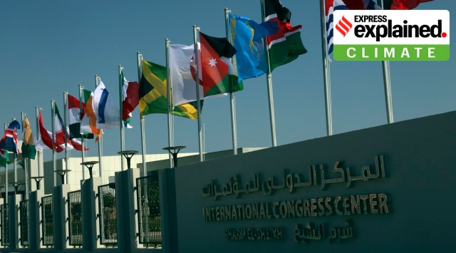 Flags from countries participating in this year’s United Nations global summit on climate change, known as COP27, hang outside the conference center, in Sharm el-Sheikh, South Sinai, Egypt, Wednesday, Nov. 2, 2022. (AP Photo/Thomas Hartwell)