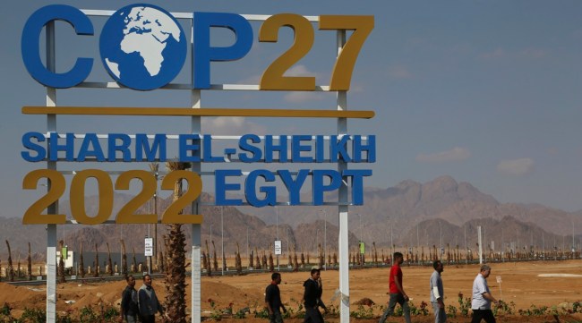 The five key focus areas for the upcoming COP-27 are said to be nature, food, water, industry de-carbonisation and adaptation. (Photo: AP)