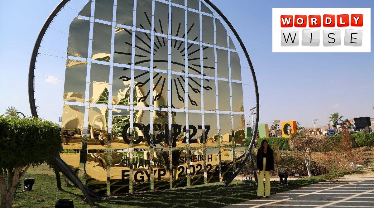 A woman poses near a sign for the COP27 U.N. Climate Summit on display outside the green zone, in Sharm el-Sheikh, Egypt. (AP Photo)