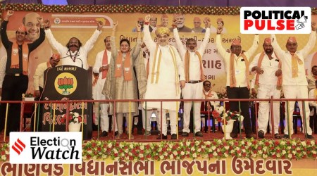 How a 36-sq km island has come to occupy prime space in BJP campaign