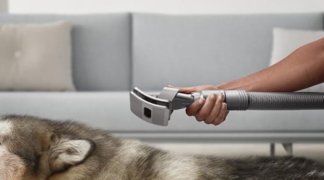Dyson Pet Grooming Kit, Dyson pet brush, Dyson cordless vacuum cleaner