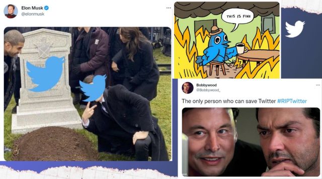 Elon Musk, Twitter, tombstone meme, end of Twitter, RIP Twitter, microblogging website, viral, trending, Indian Express