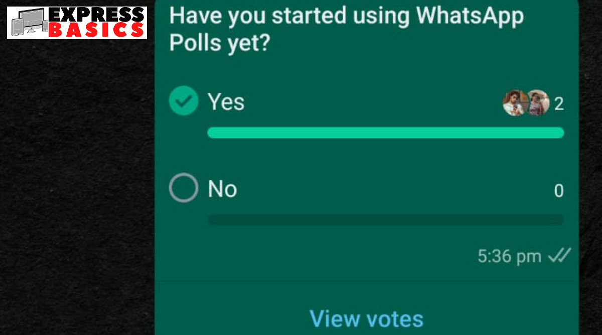 ExpressBasics: How to run polls on WhatsApp's personal and group ...