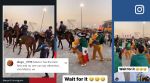 FIFA World Cup, Mexico, Mexican fans, horses, Qatar, funny, hilarious, football, viral, trending, Indian Express