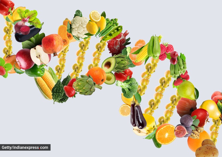 nutrigenómica, qué es la nutrigenómica, dieta y genes, decisiones dietéticas nutrición personalizada, dieta saludable, comida sana, genes, genética, noticias expresas indias