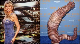 Heidi Klum, Heidi Klum Halloween, Heidi Klum Halloween outfit