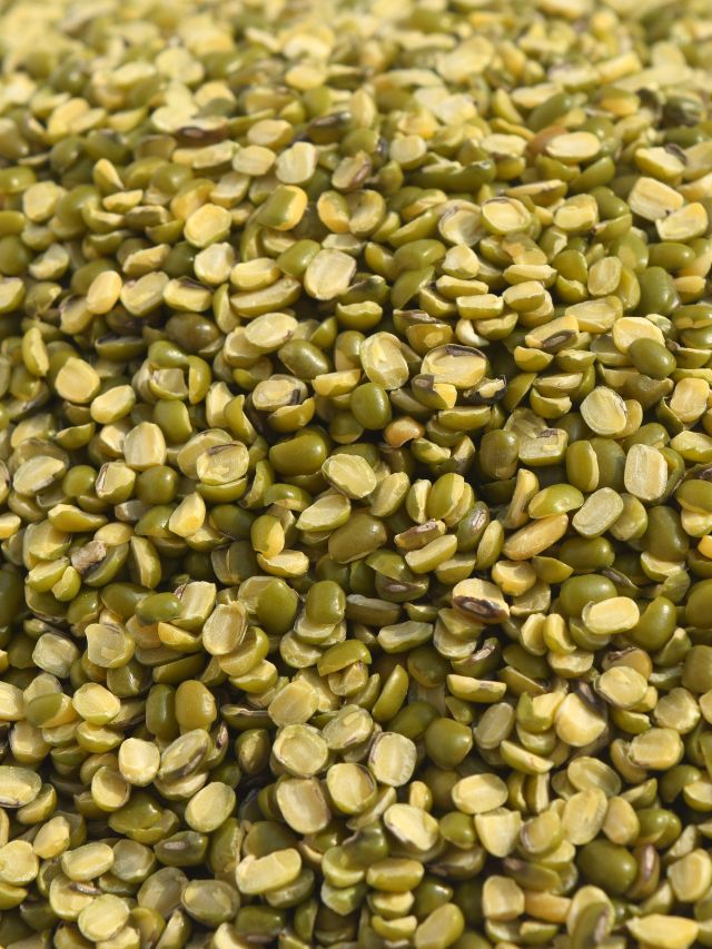 Best source of protein for vegetarians The Indian Express