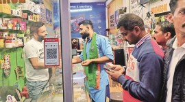 Nadda son-3col harish nadda news, elections news, himaachal elections, indian express