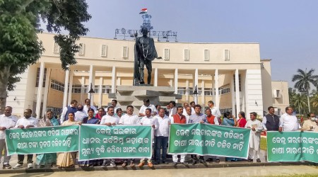 BJD MLAs stage a protest near Mahatma Gandhi statue during the winter session of Odisha Assembly demanding an increase of MSP and insurance for farmers, in Bhubaneswar. (PTI Photo)