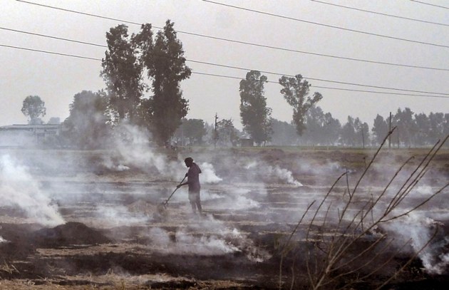 paddy stubble burning in Punjab