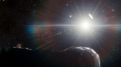 Planet killing asteroid