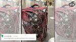 Reddit user posts photo of damaged suitcase, airport, conveyor belt, ruined suitcase, luggage, travel, viral, trending, Indian Express