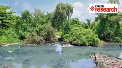 koli, dharavi, Bombay, Mumbai, koliwadas, fishing ponds, pollution, overpopulation, fish, coastal road, climate change, environment, mumbai news, mumbai story, indian express