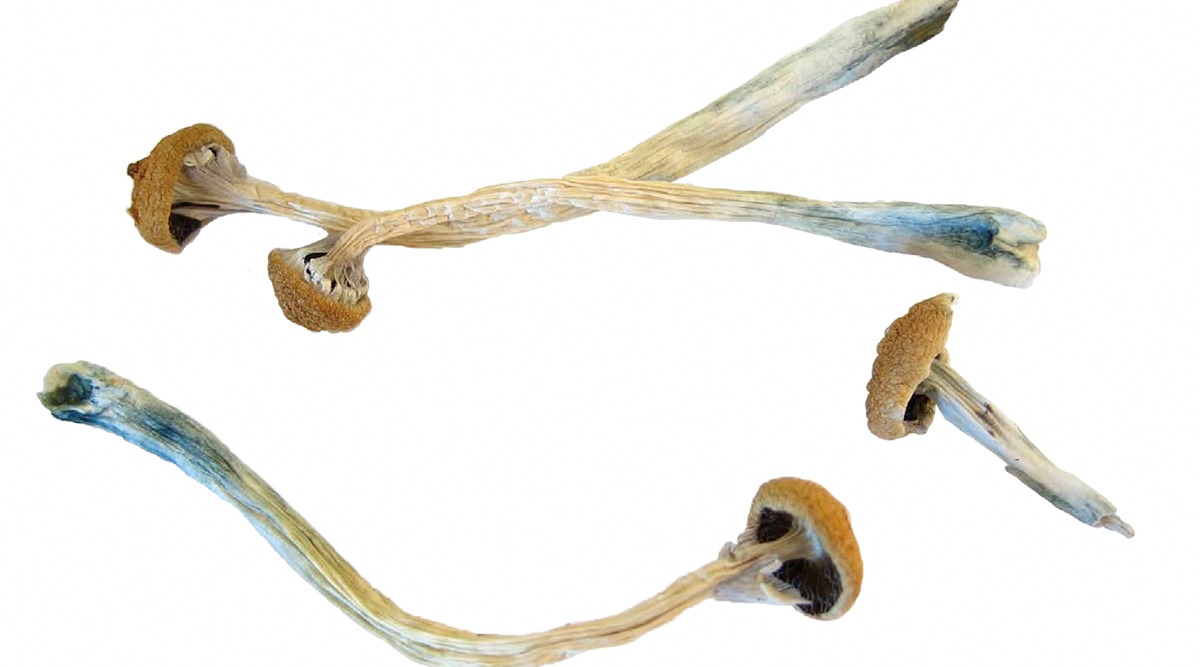 magic-mushroom-compound-shows-promise-as-depression-treatment-in-key-study