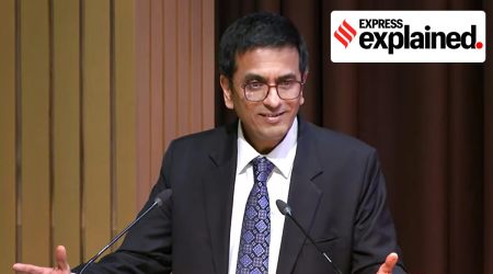 Chief Justice of India D Y Chandrachud addresses a programme in New Delhi. The CJI said the RTI portal would be ready to use shortly. (PTI Photo/File)